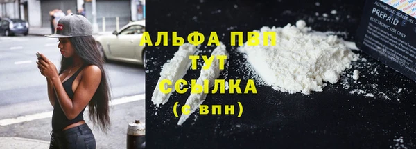 прущие грибы Абинск