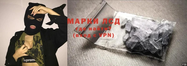 прущие грибы Абинск
