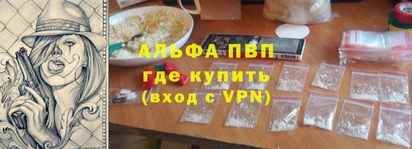 прущие грибы Абинск