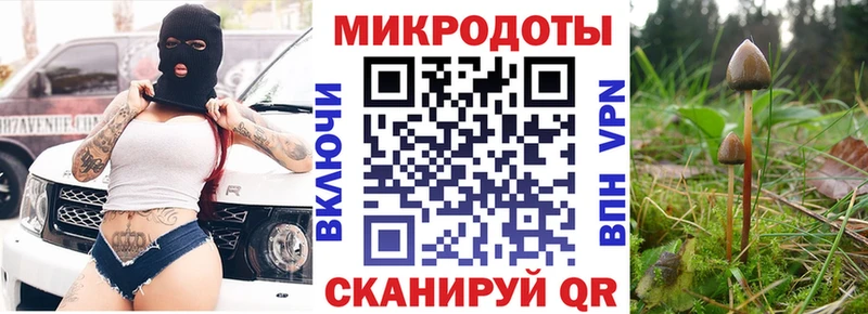 Галлюциногенные грибы Psilocybine cubensis Мурино