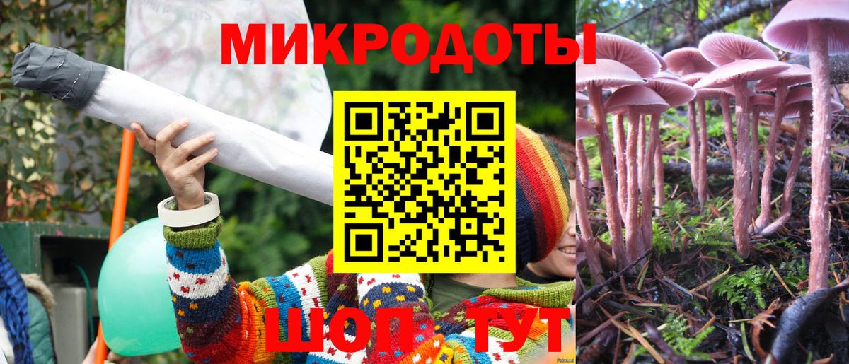 Мурино  Галлюциногенные грибы MAGIC MUSHROOMS  Вход с VPN  Псилоцибиновые грибы Psilocybe 
