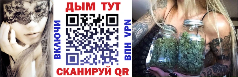 как найти   Мурино  Бошки марихуана Bruce Banner 
